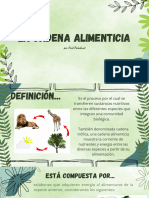 Cadena Alimenticia