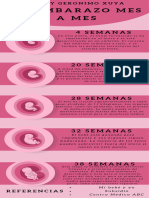 Infografía Etapas Del Embarazo. Freddy Geronimo Xuya