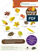 Autumn_leaf_ID