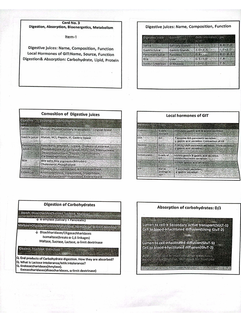 Card 03 Item 01 (Sir Sheet) | PDF