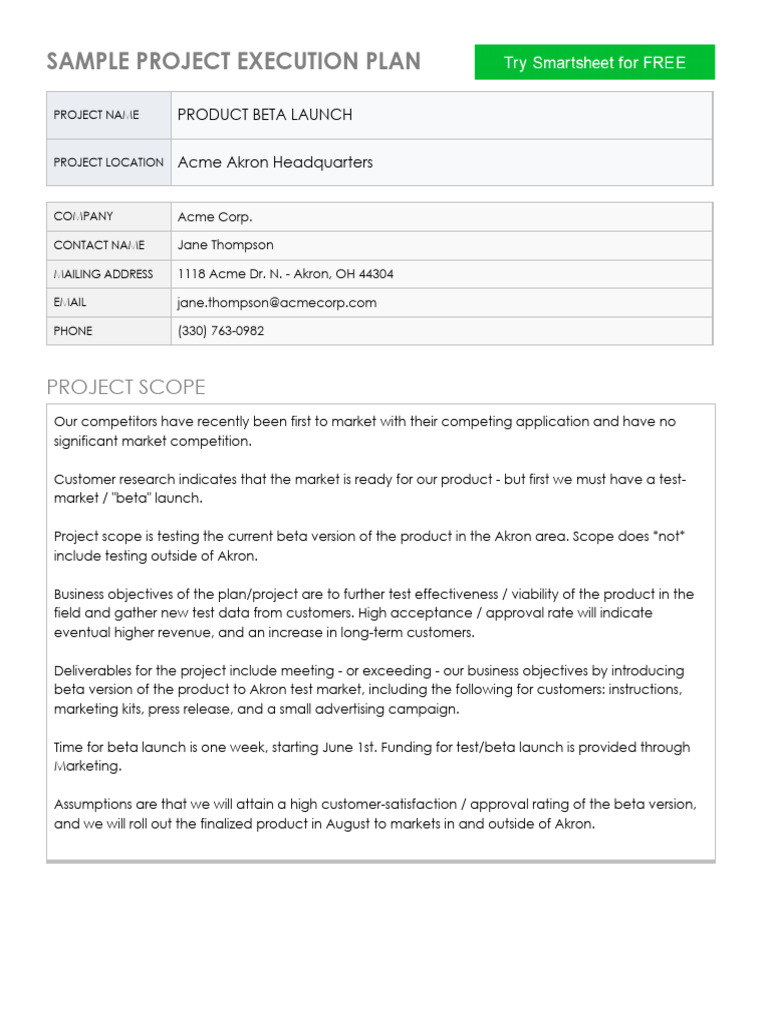 Ic sample project execution plan 11095 pdf pdf software release