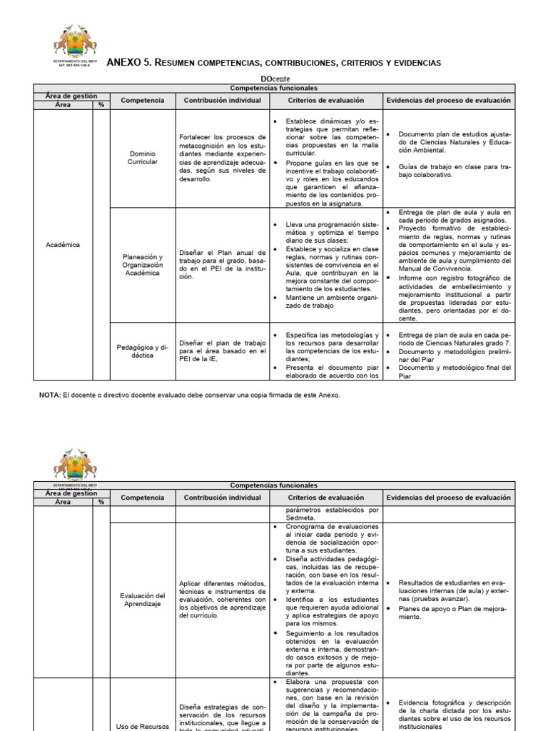 Anexo 5: Evaluación Docente 2024 | PDF | Plan de estudios | Evaluación