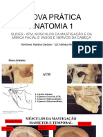 Revisão Prova Prática - MM Facial