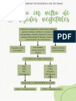 Cultivo in Vitro de Tejidos Vegetales