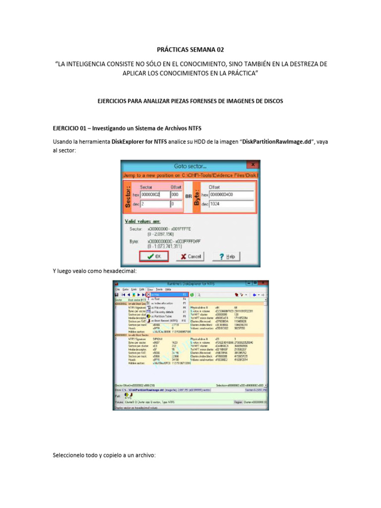 PRACTICA01 | PDF