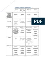 Tabla de Digestion Quimica Organos y Sus Enzimas