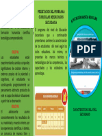 Folleto Caracteristicas Del Nivel Secundario