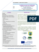 Dissemination Brochure RO