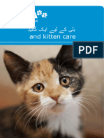 A Guide To Cat and Kitten Care Author Rspca