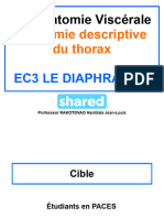 Anatomie Descriptive Du Thorax: UE Anatomie Viscérale