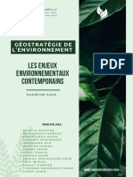 Geostratégie de L'environnement