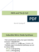 iNOS and The β‐Cell: Barre1 Updegraff