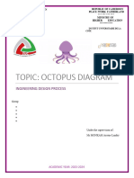 Octopus Digram