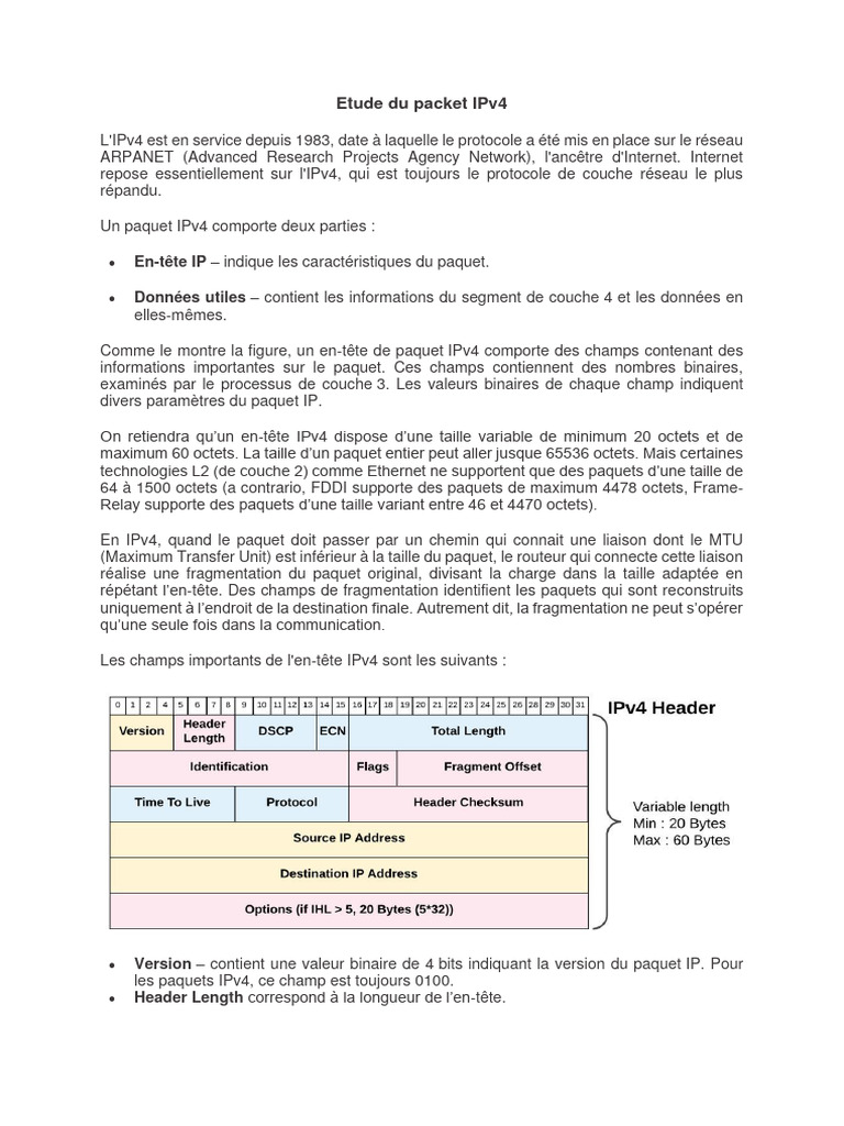 Etude Du Packet IPv4 | PDF