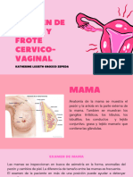 Examen de Mama y Frotis Cervical-Vaginal