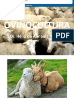 Ovinocultura Vet HV2020