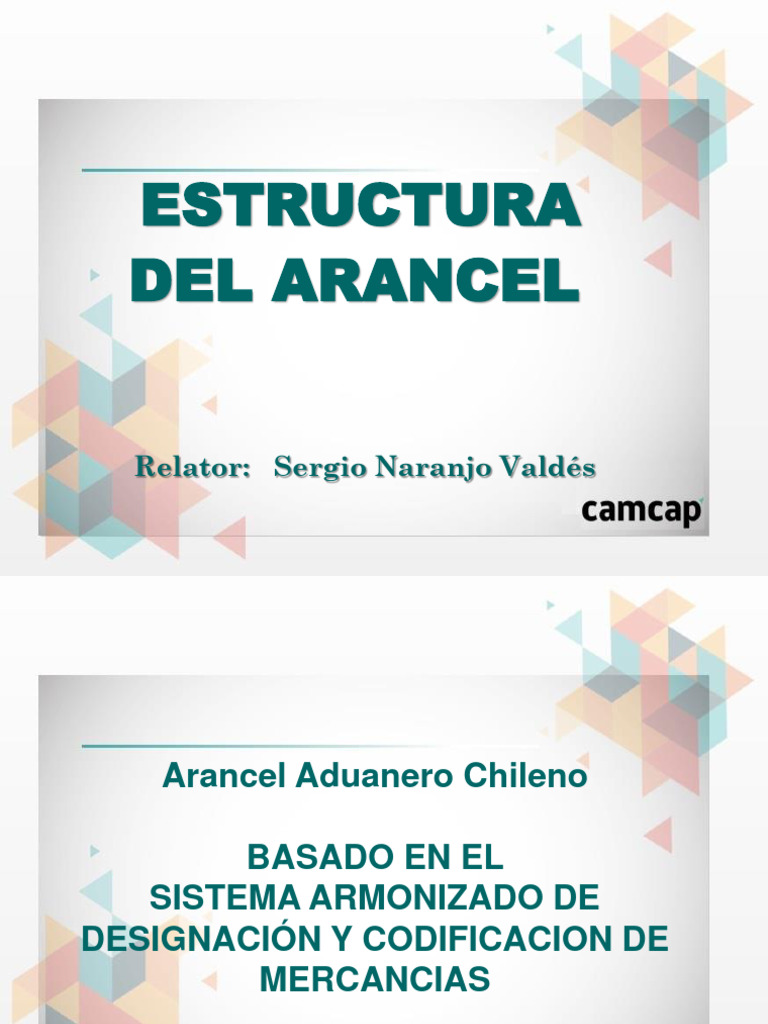 008 Diplomado Normativa Aduanera - Estructura Del Arancel | PDF | Cuero ...