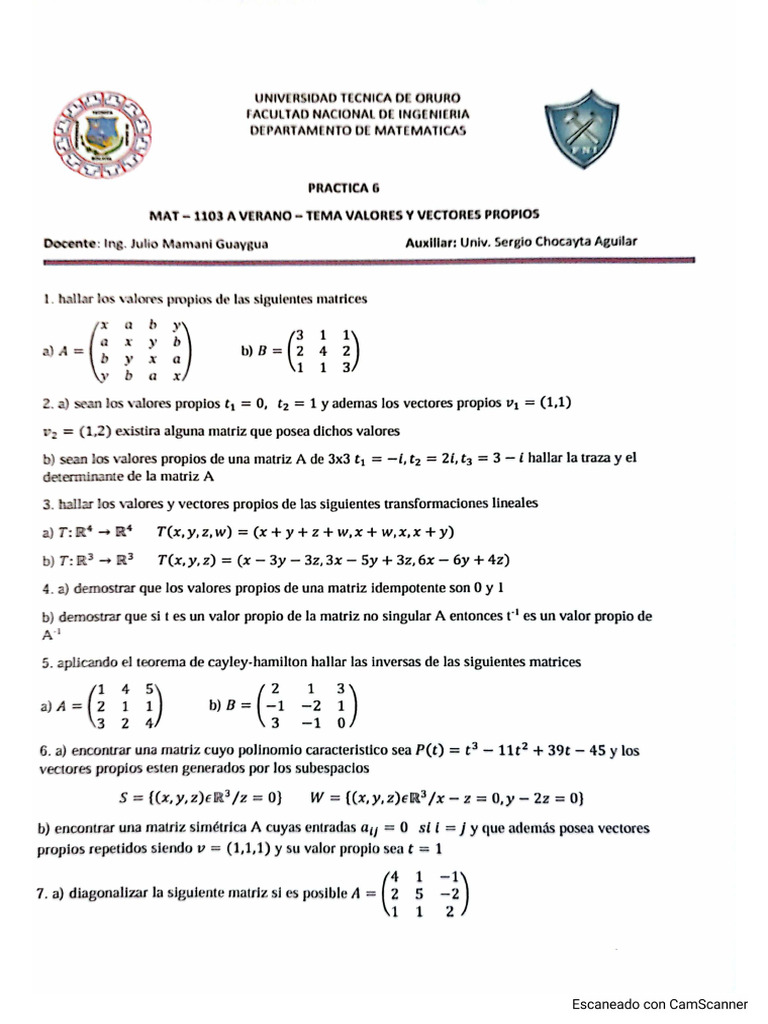 Practica 6 Mat 1103 Verano | PDF