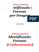 4 Identificacao (Carbonizacao) - (Rogério Natal)
