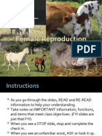 Female Reproductive Tract Notes