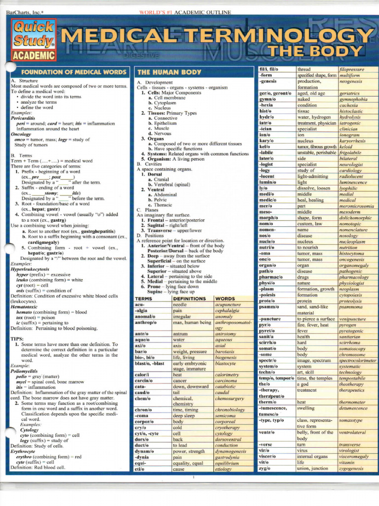 Medical Terminology PDF