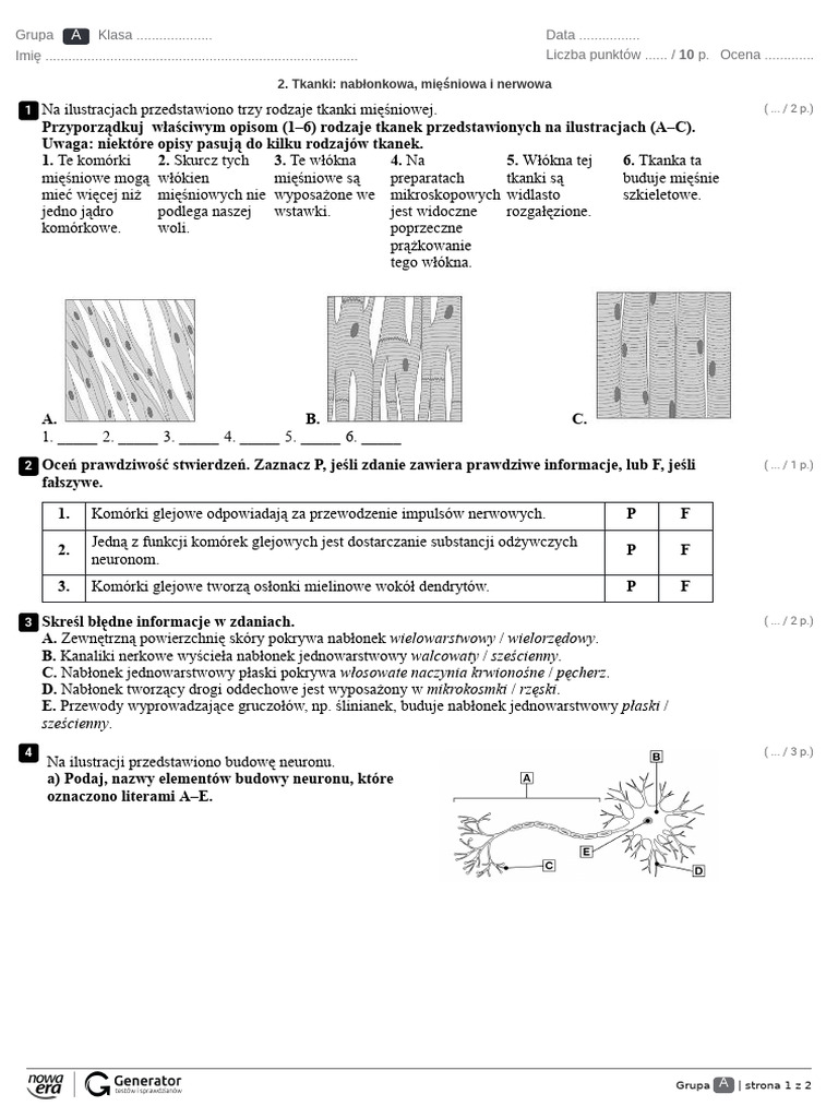 Test Tkanki Roslinne Klasa 5 Tkanki - Nabłonkowa Mięśniowa I Nerwowa Test Z Widoczną Punktacją | PDF