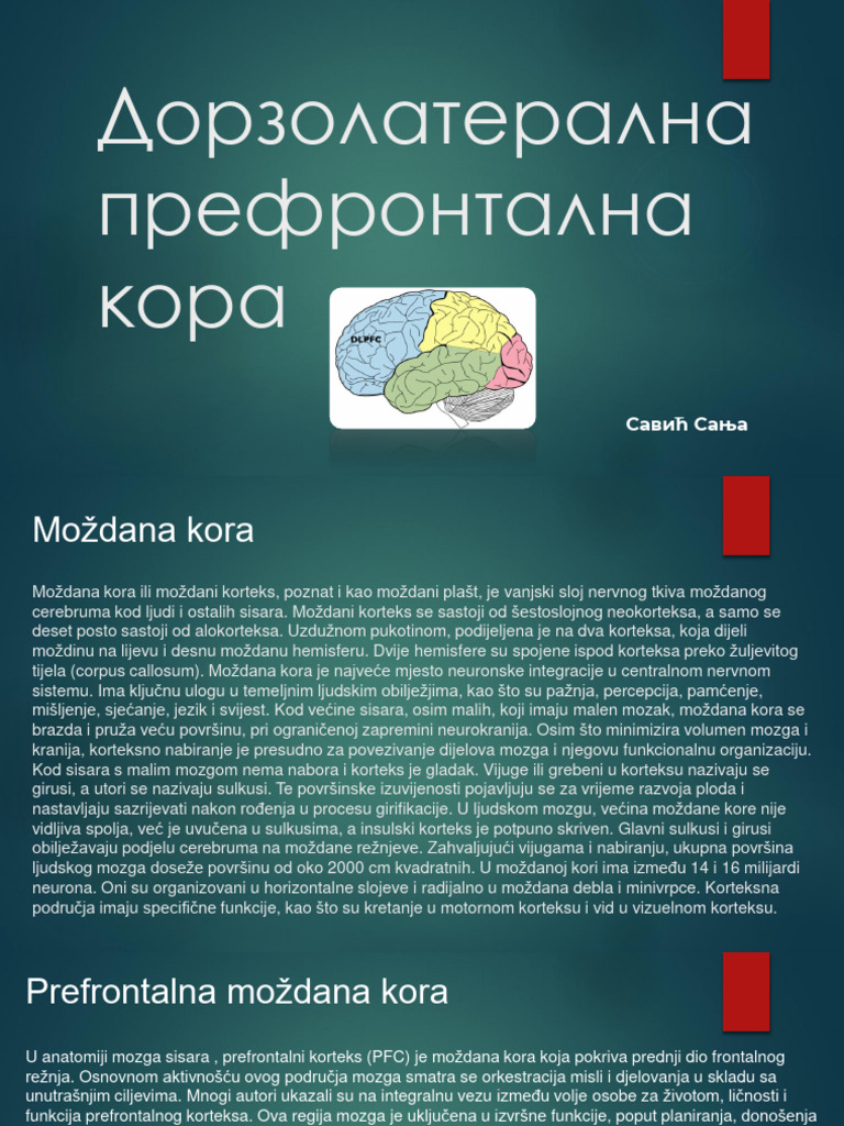 Doryolateralna Prefrontalna Kora S.S. | PDF
