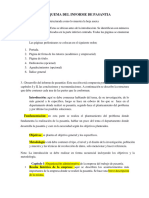 3 Esquema para Realizar Informe de Pasantias