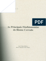 ASPRINCIPAISFITOFISIONOMIASRibeiroe Walter 2008