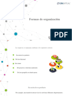 Formas de Organización PDF