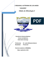 Mihalache Lexter - Histología I - 1 - AB - MAYSEP2023 - MER