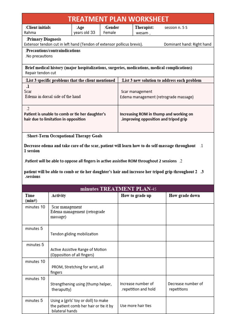 Portfolio Treatment Plan PDF