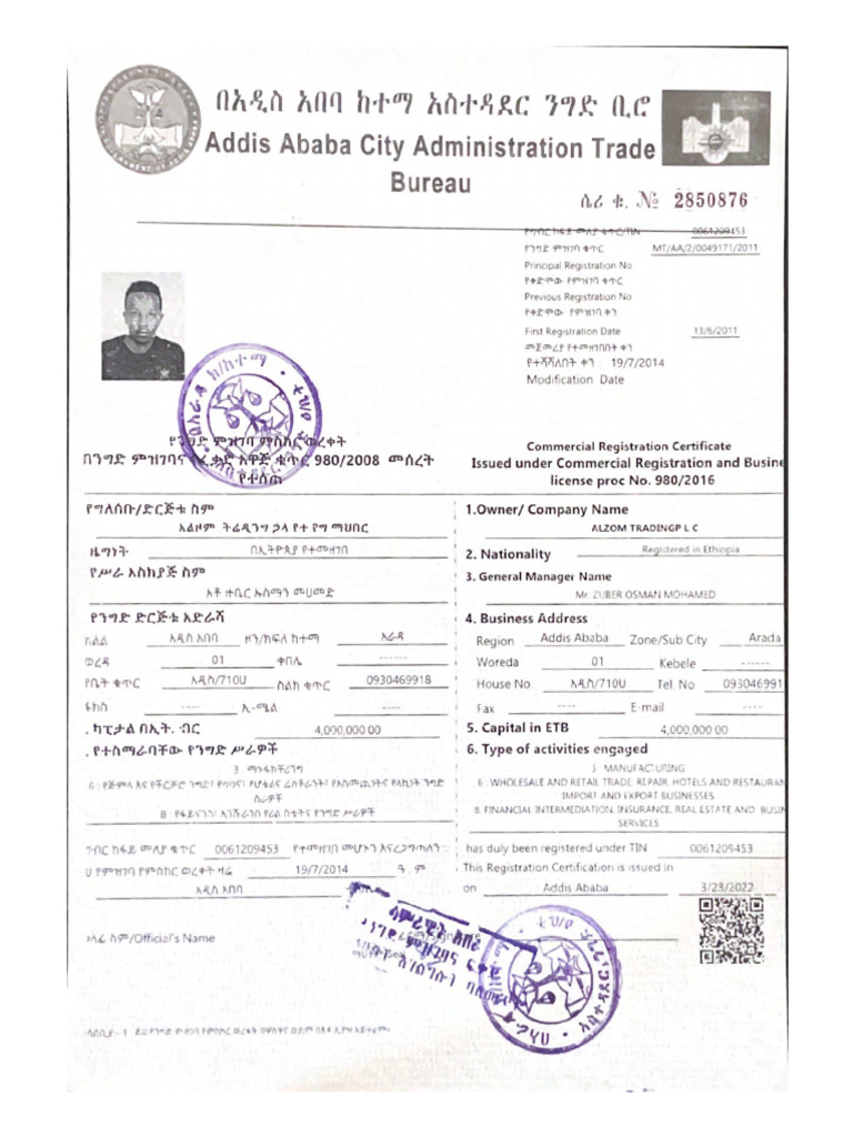 Addis Ababa intelligence overview