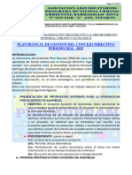 2024 Plan Bianual de Gestion Del Concejo Directivo Periodo 2024 - 2025