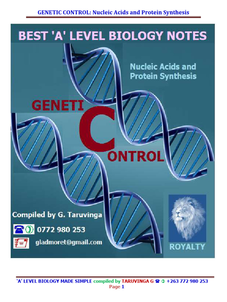 DNA Structure and Protein Synthesis Guide | PDF | Dna | Nucleic Acids