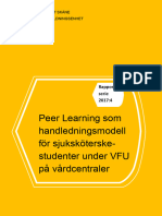 Rapport Peer Learning 171201