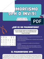 Polimorfismos Del Cromosoma 9.