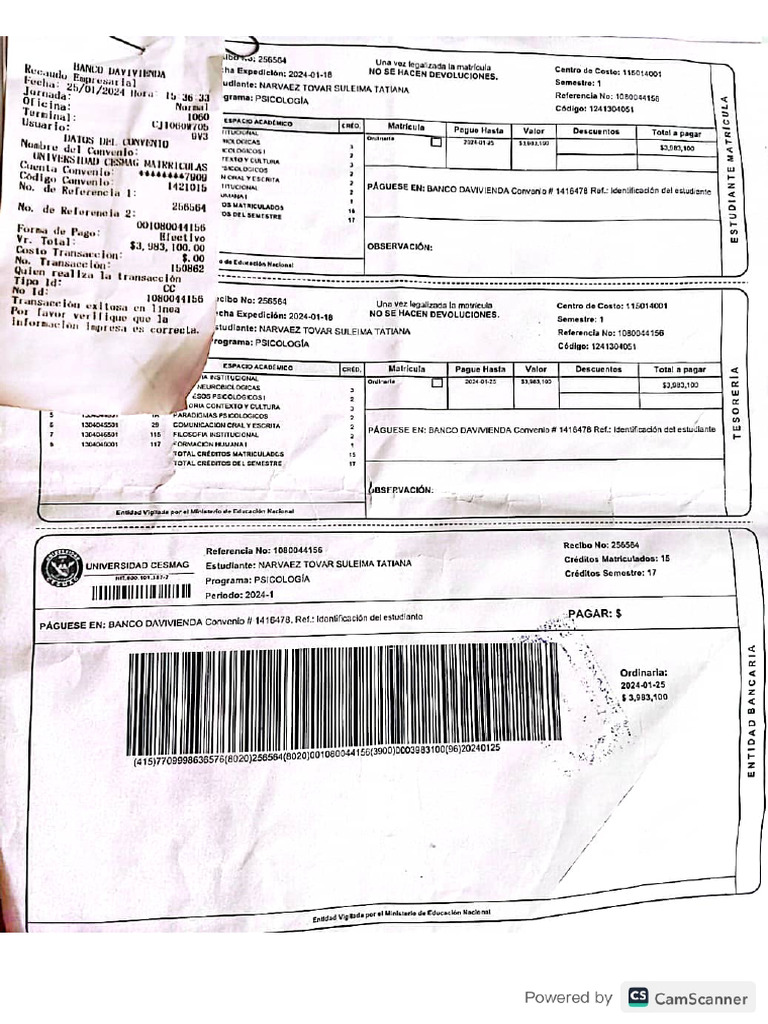 Recibo de Pago | PDF