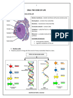 Dna The Code of Life Notes 2019