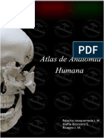 Atlas de Anatomia Humana