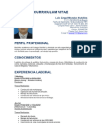 Curriculum Vitae Luis Morales Espanol