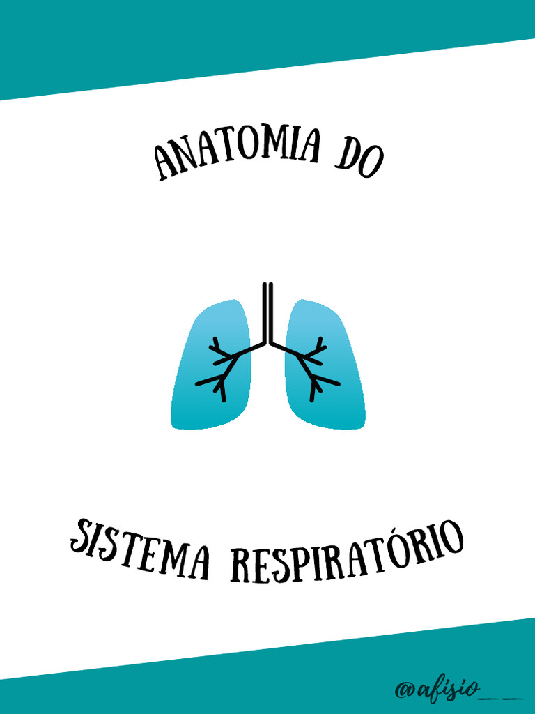 Anatomia Do Sistema Respiratório Pdf Sistema Respiratório Pulmão