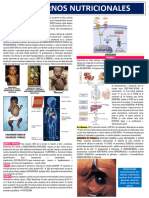 Patología Fase 3