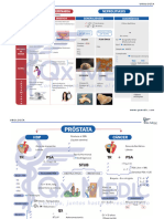 Urología_Mapas mentales_2023