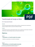 Transformação de Energia Na Célula