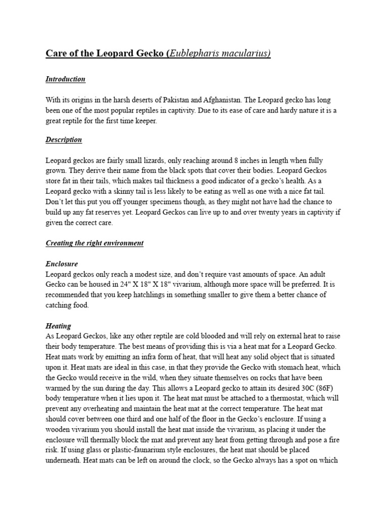 Care Sheet Leopard Gecko | PDF | Vivarium