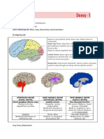 11BIY-Beyin Diseksiyonu Dosyasının Kopyası Dosyasının Kopyası