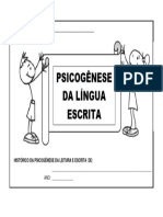 Capa Da Sanfona Da Pscicogênese