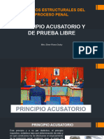 Clase Vi Principio Acusatorio - Valoracion Libre Prueba