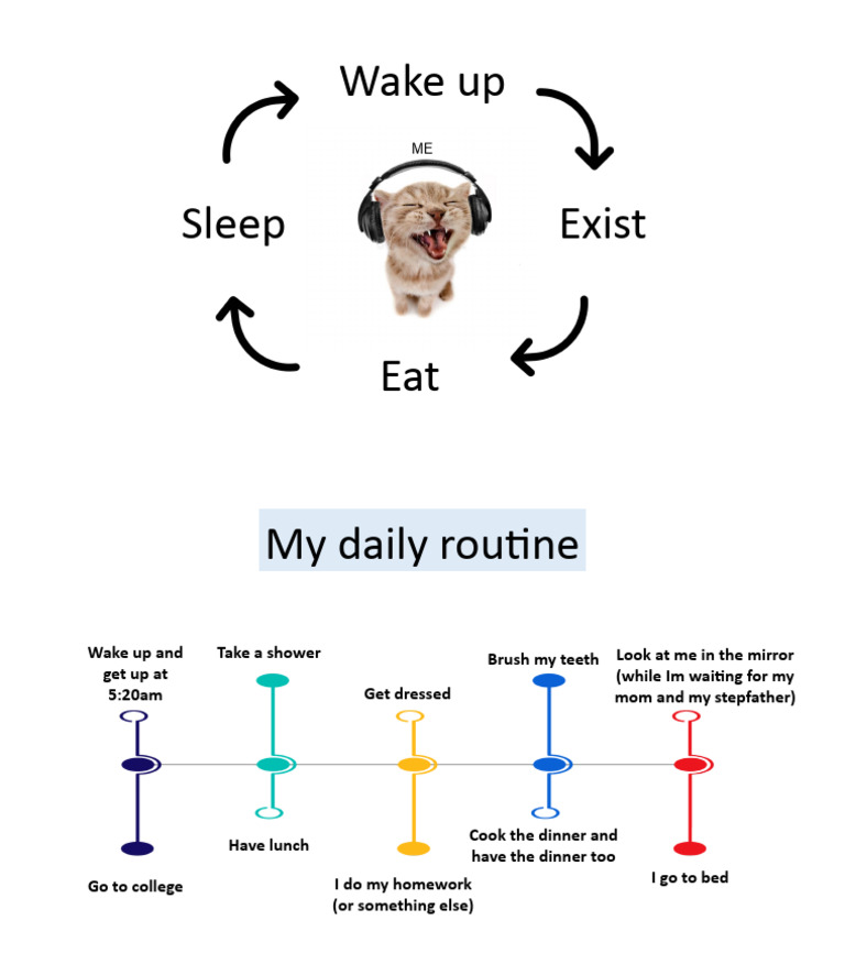 daily routine | PDF